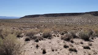 Petroglyph National Monument