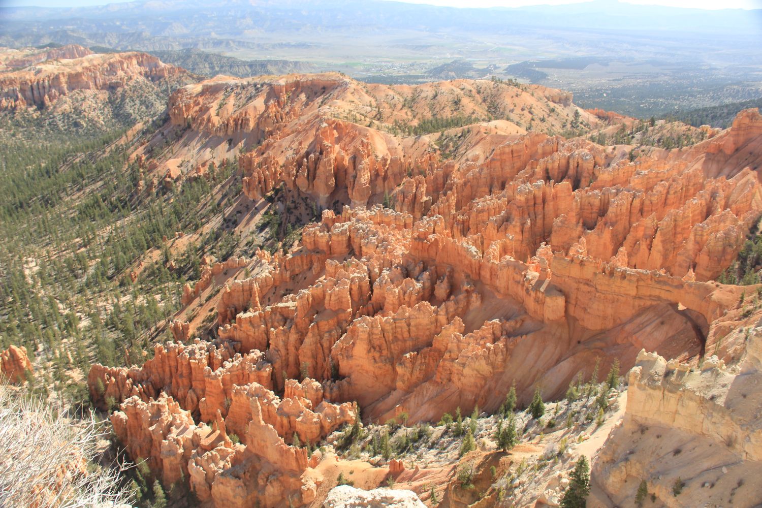 Bryce Point to Inspiration Point 