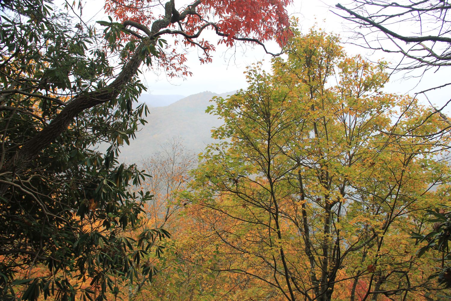 Grand View Rim Trail 