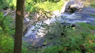 Ledges and Pine Grove Trails
