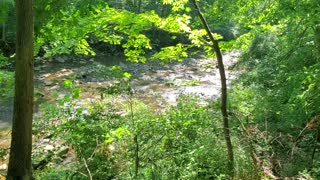 Ledges and Pine Grove Trails