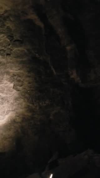 Mammouth Cave Historic Tour