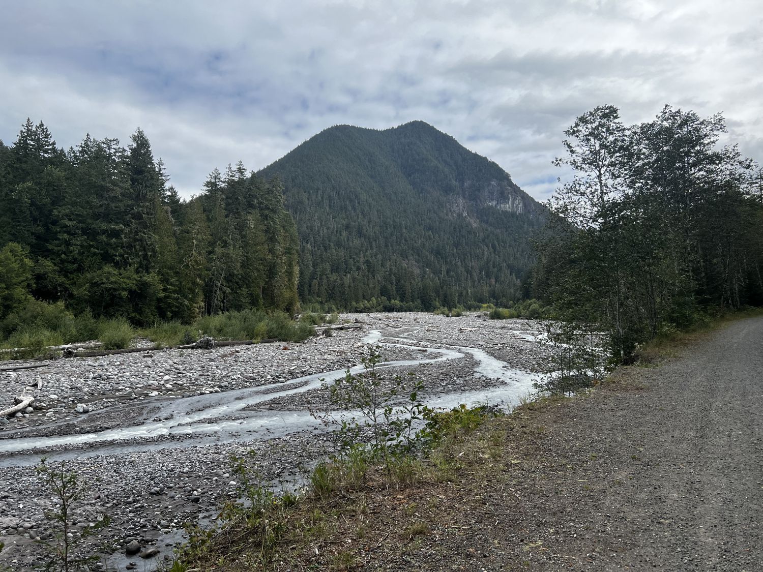 Mount Rainier NP 
