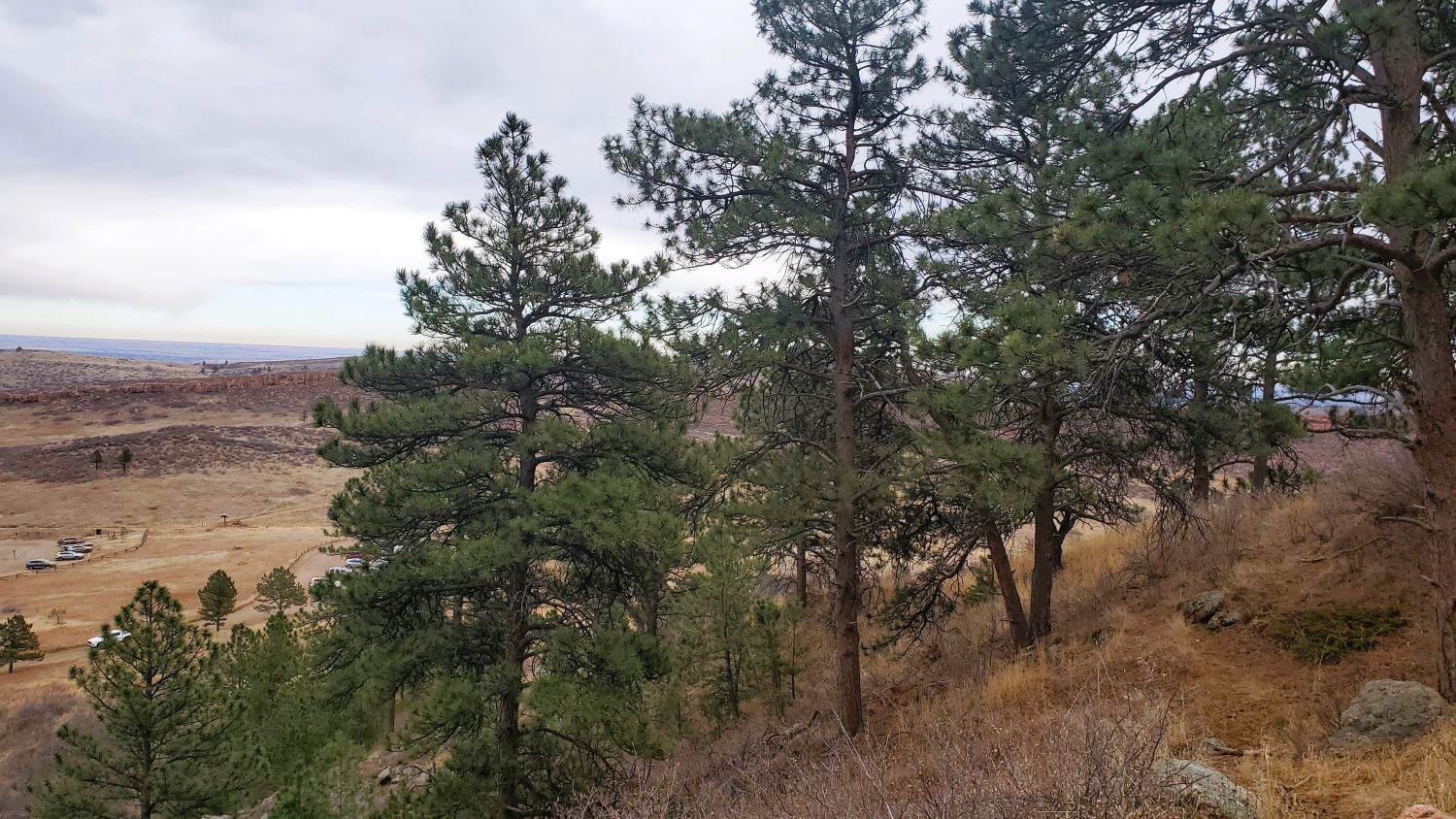 Lory State Park