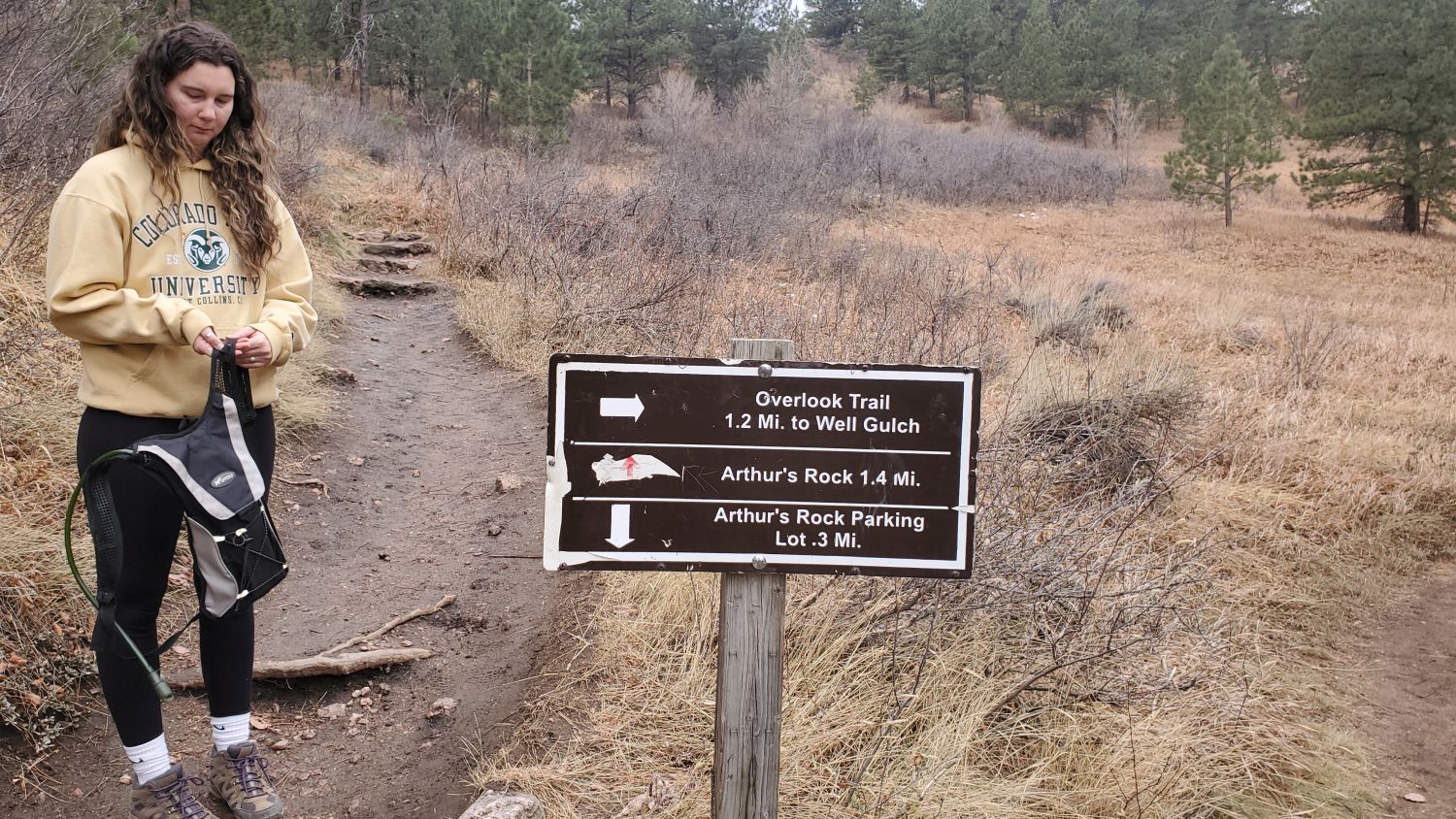 Lory State Park