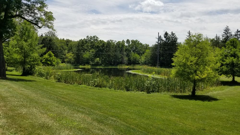 Saint James Forest Preserve 