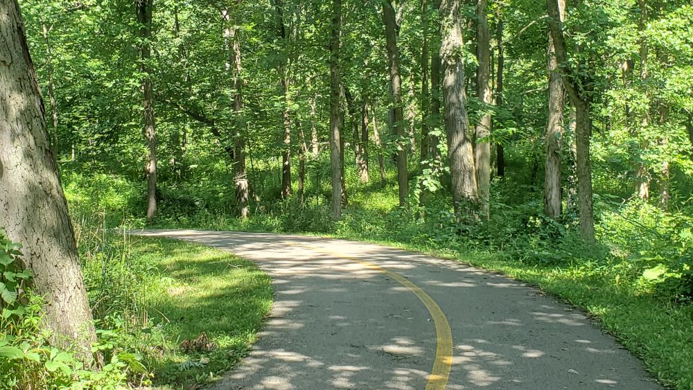 Bemis Forest Preserve Cook County 