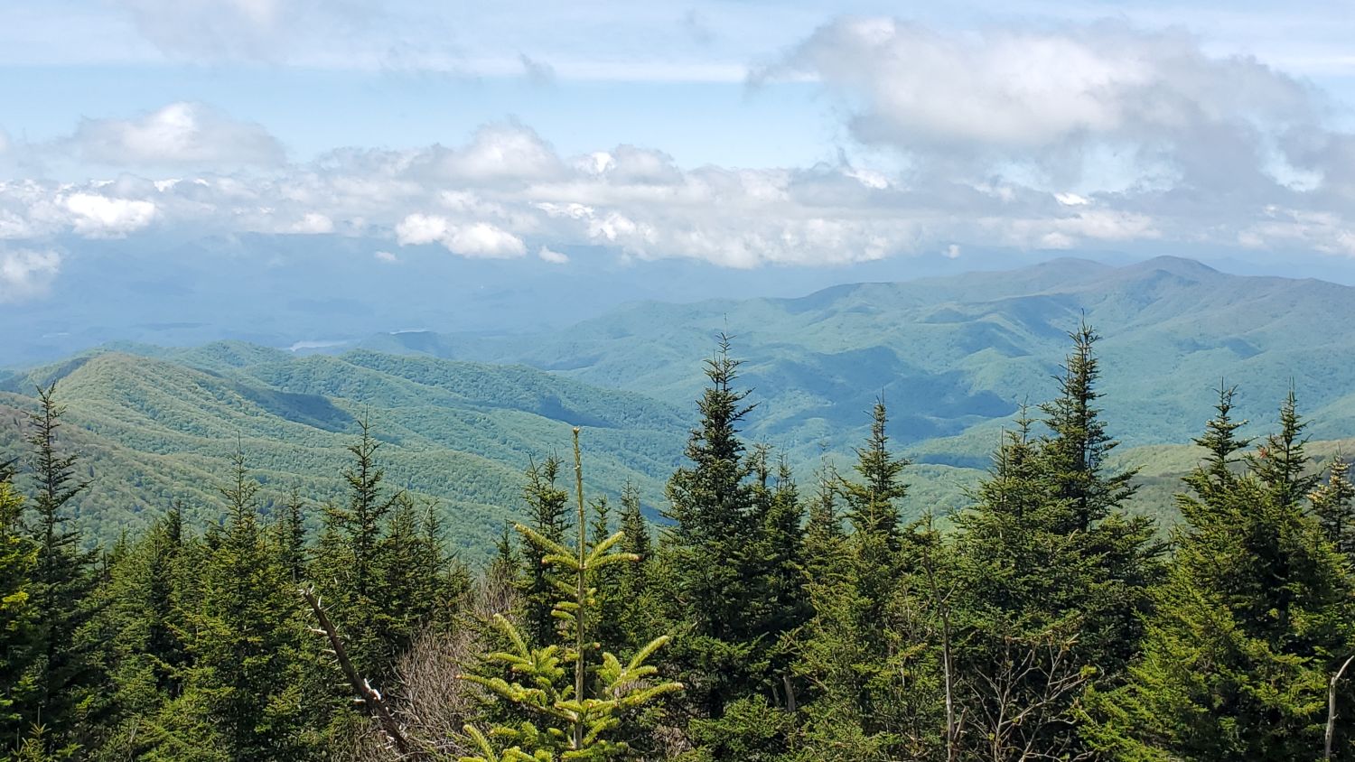 Clingmans's Dome Parking Lot 
