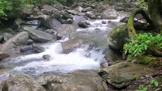 Porters Creek to Fern Falls