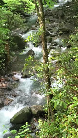 Porters Creek to Fern Falls