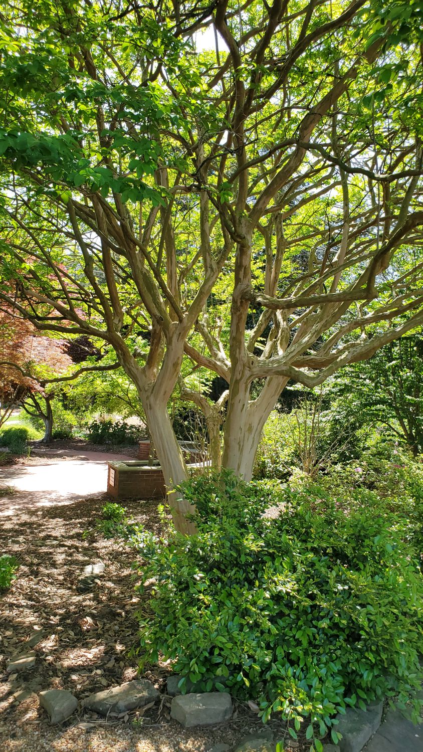 Botanical Gardens