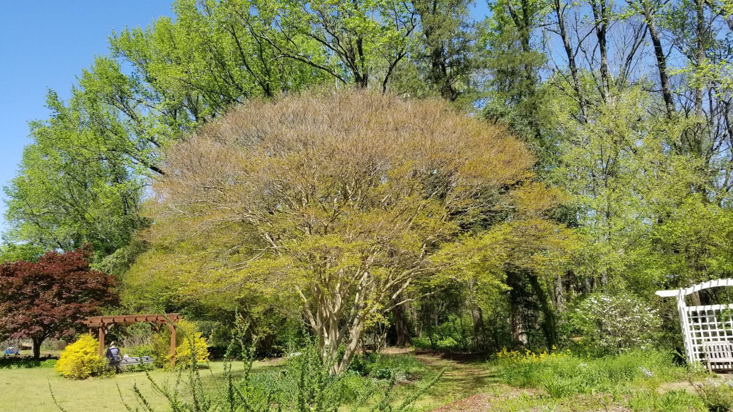 Botanical Gardens