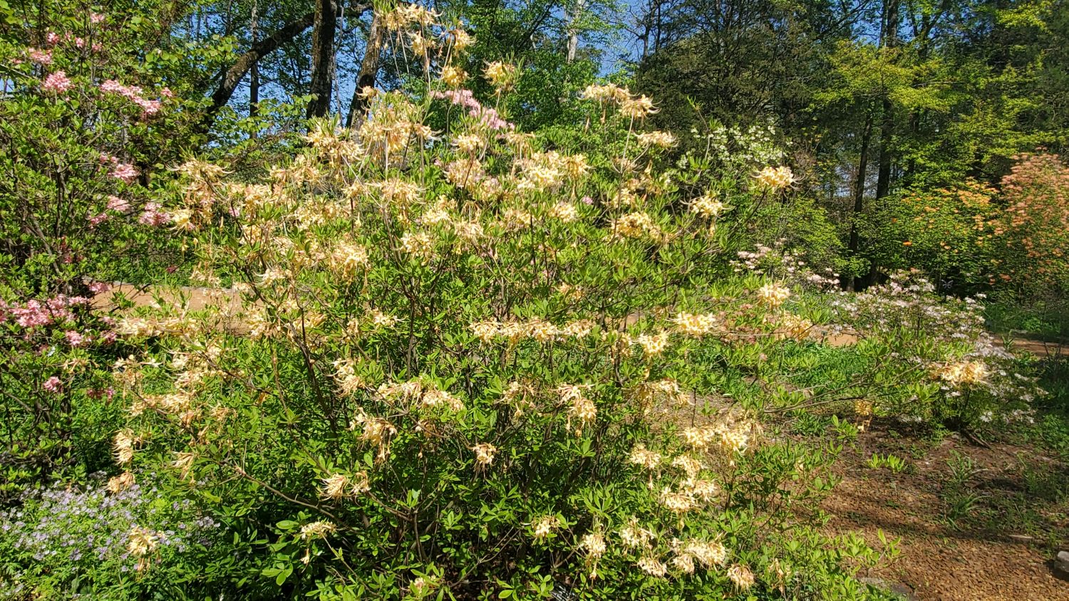 Botanical Gardens