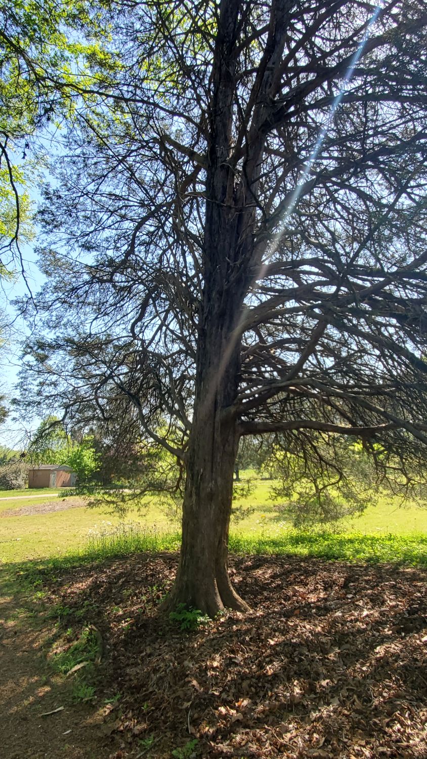 Botanical Gardens