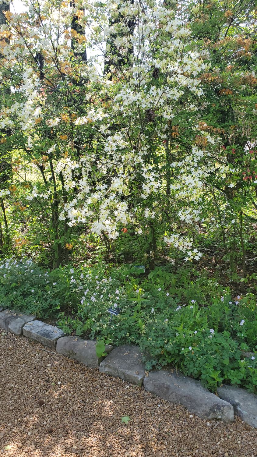 Botanical Gardens