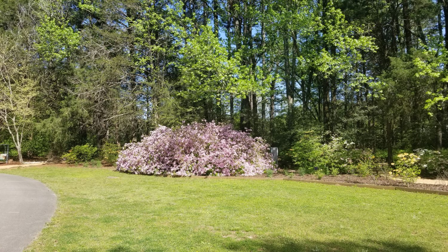 Botanical Gardens