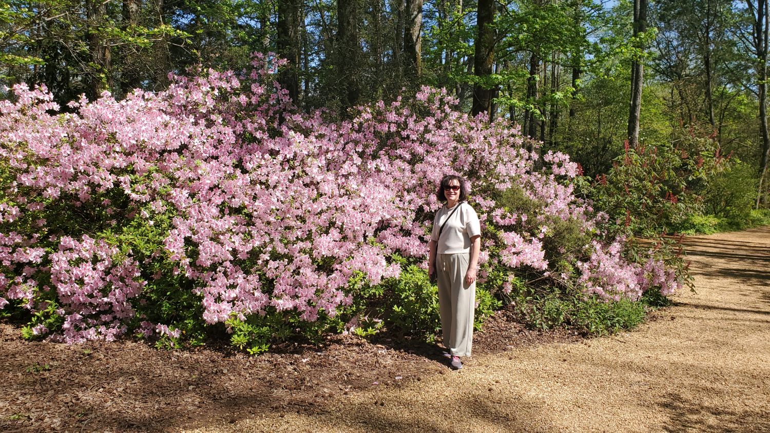 Botanical Gardens