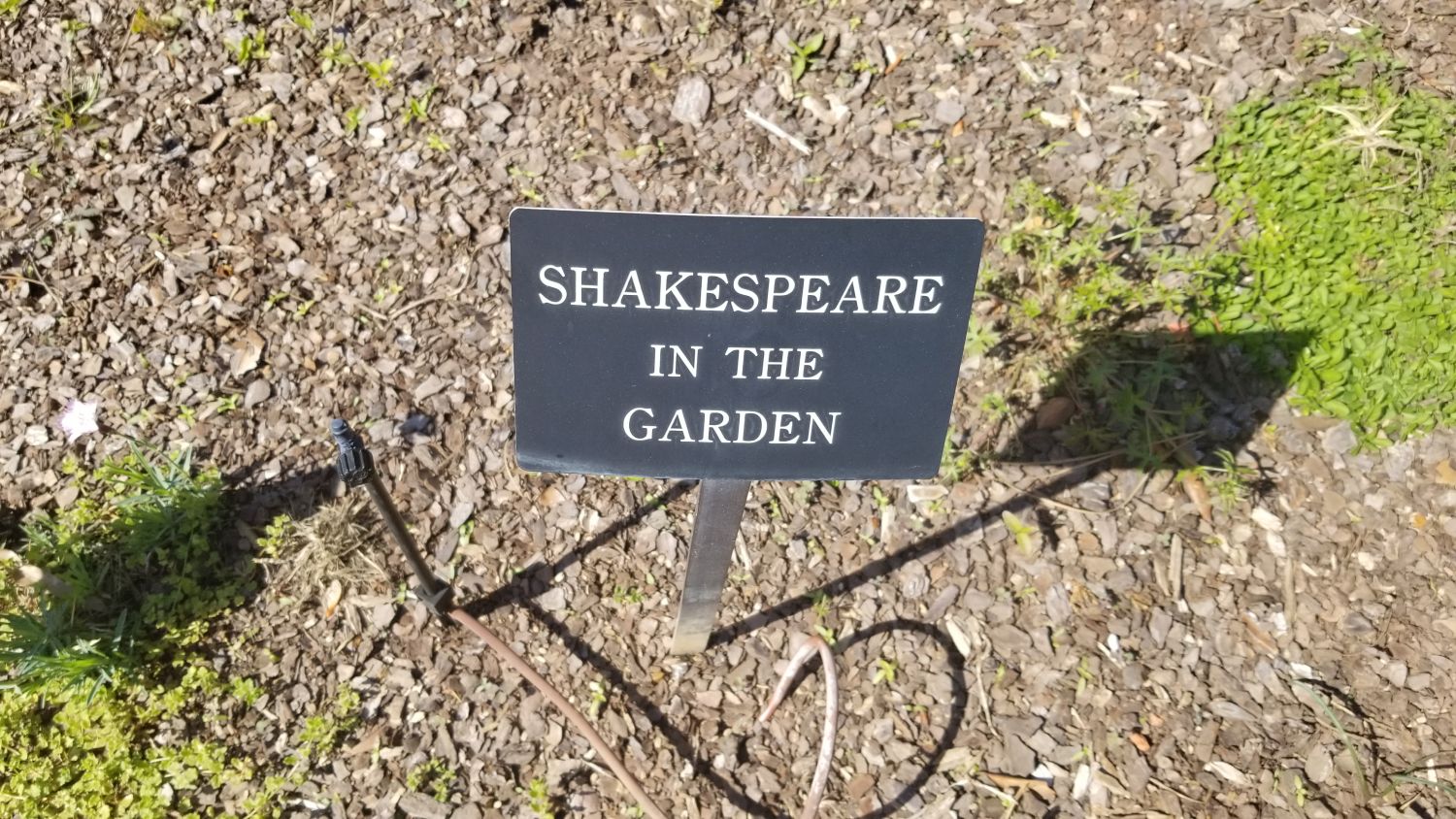 Botanical Gardens