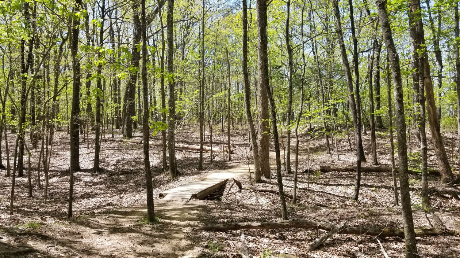 Monte Sano State Park
