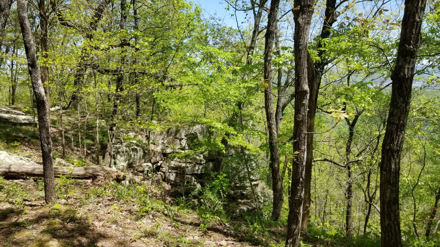 Monte Sano State Park