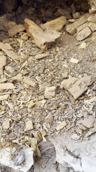 Discovery Point Hike