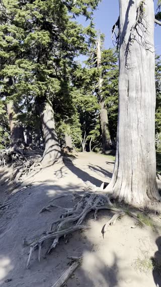 Discovery Point Hike