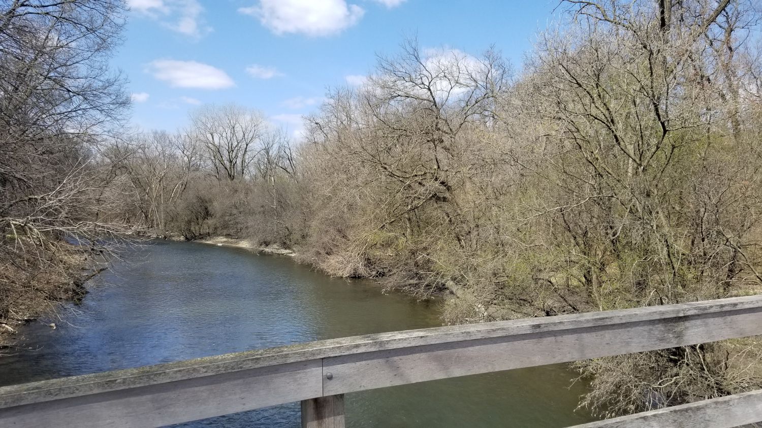 Fullersburg Woods