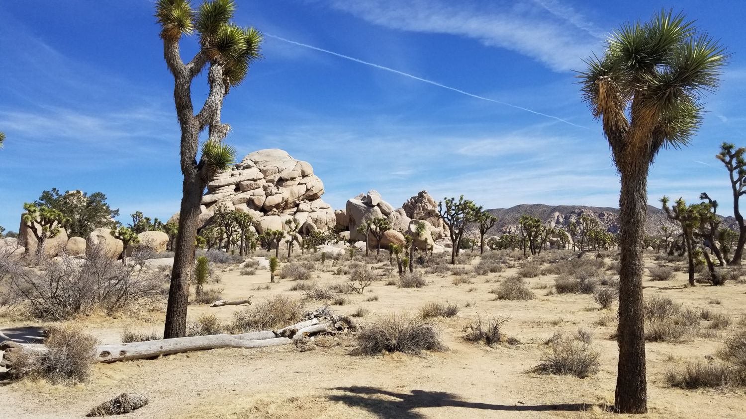 Hidden Valley Hike