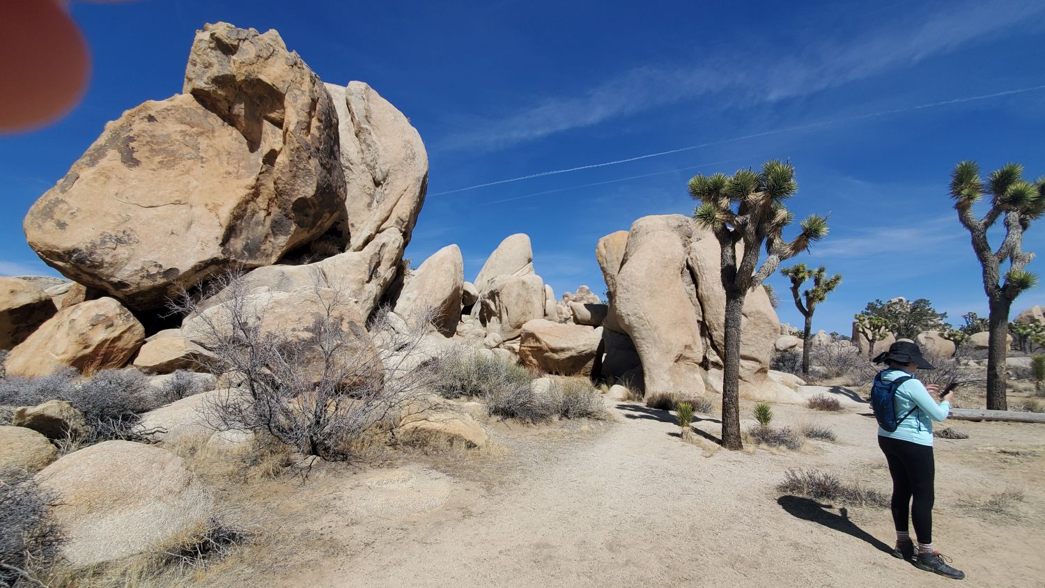 Hidden Valley Hike