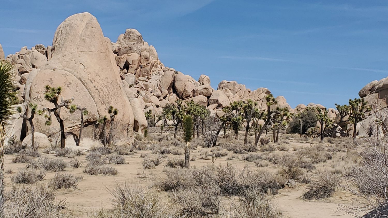 Hidden Valley Hike