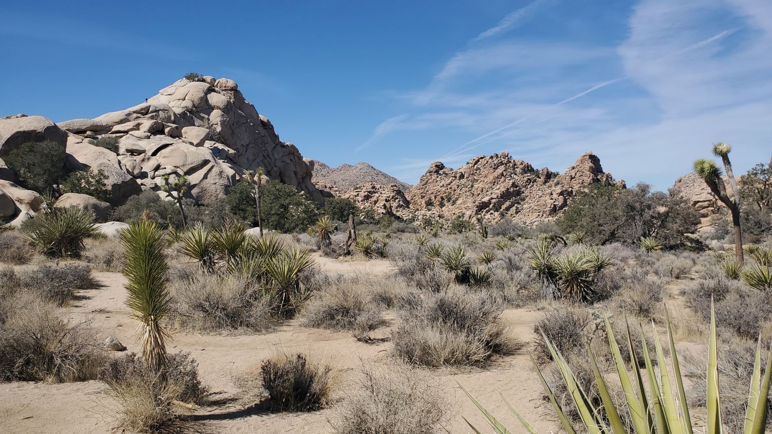 Hidden Valley Hike