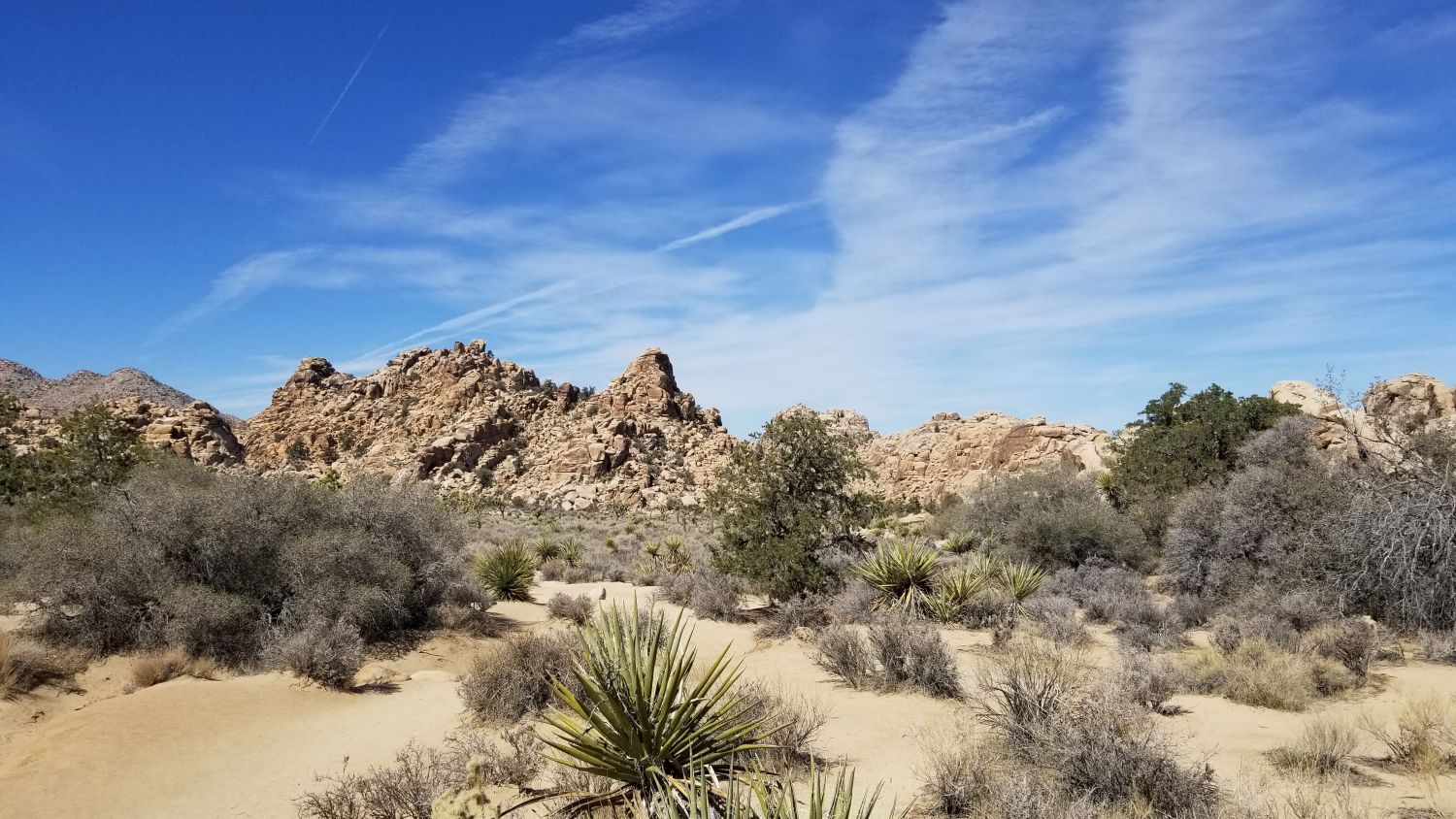 Hidden Valley Hike