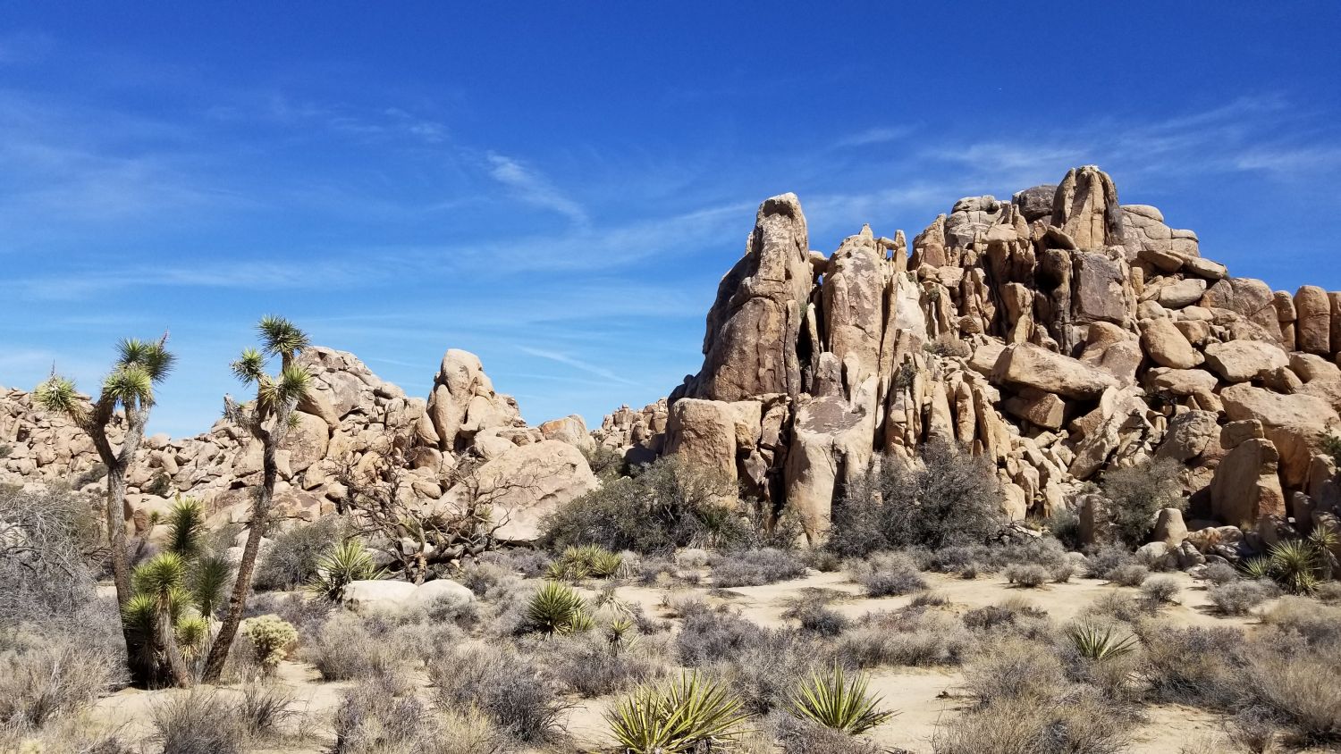 Hidden Valley Hike