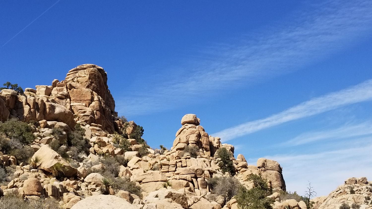 Hidden Valley Hike