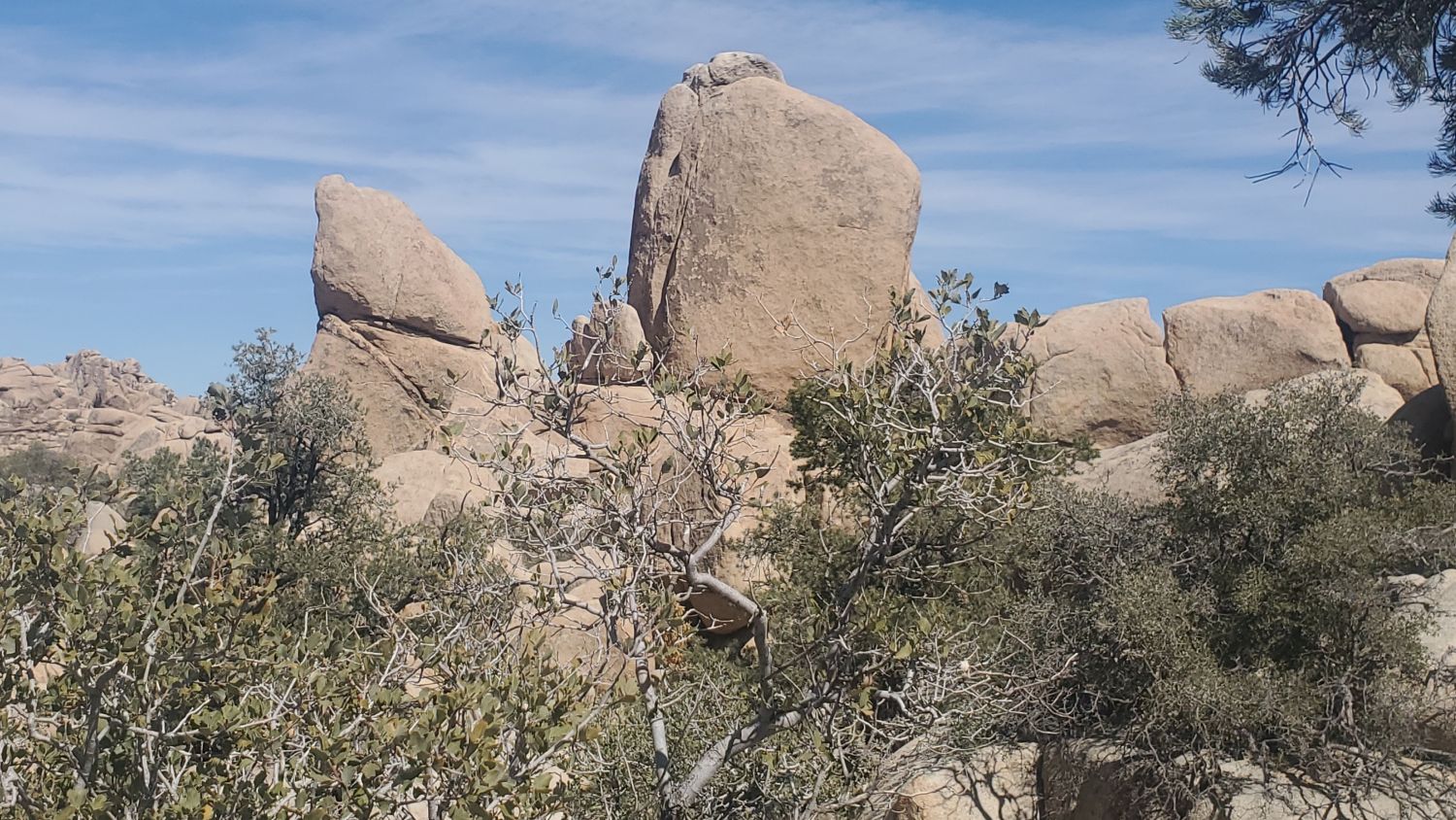 Hidden Valley Hike