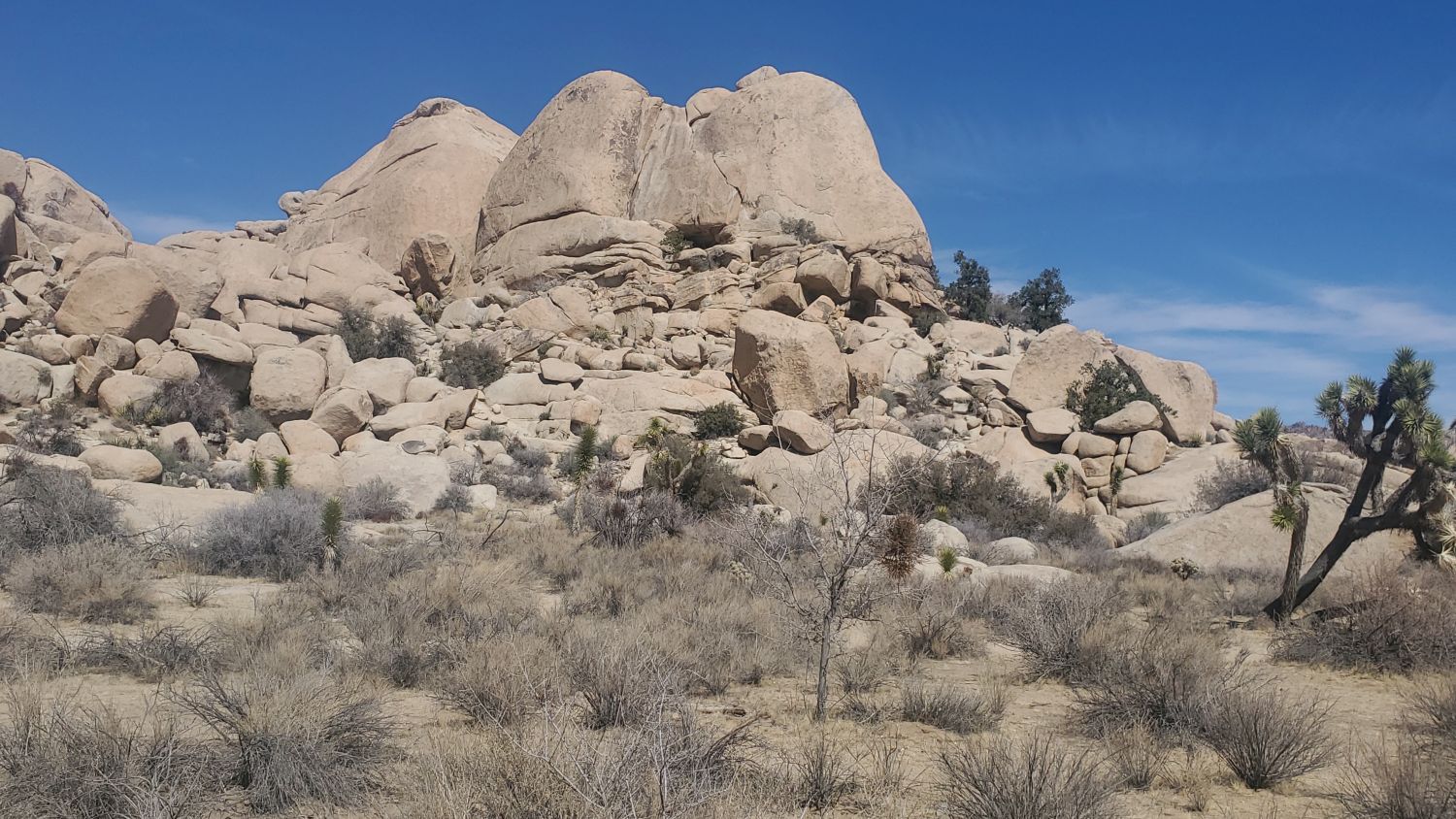 Barker Dam Hike
