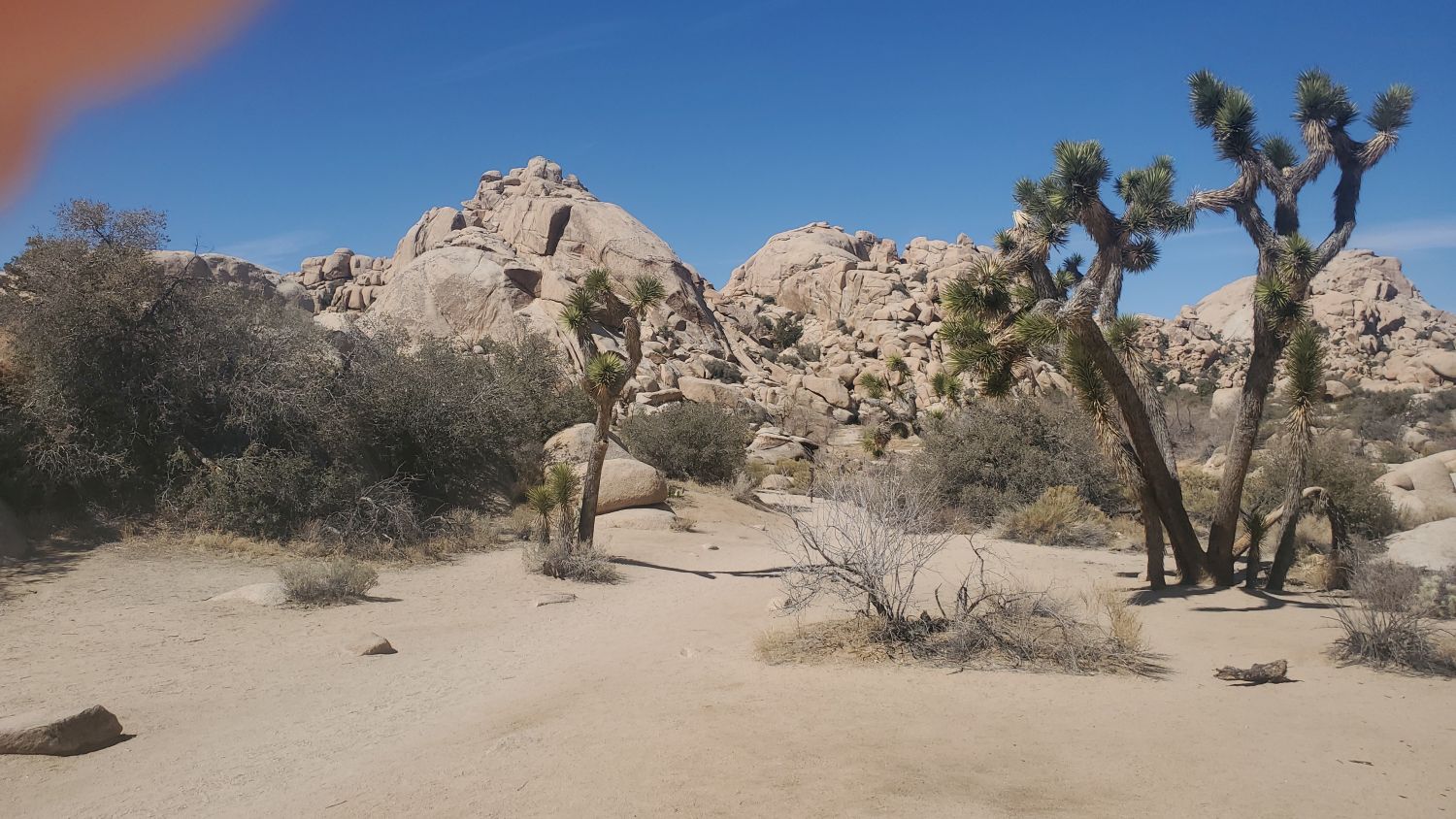 Barker Dam Hike