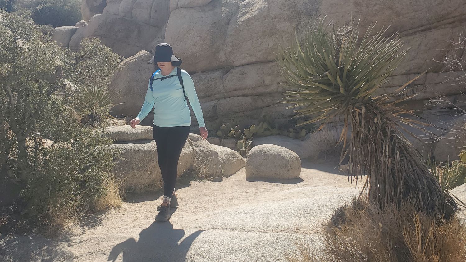 Barker Dam Hike