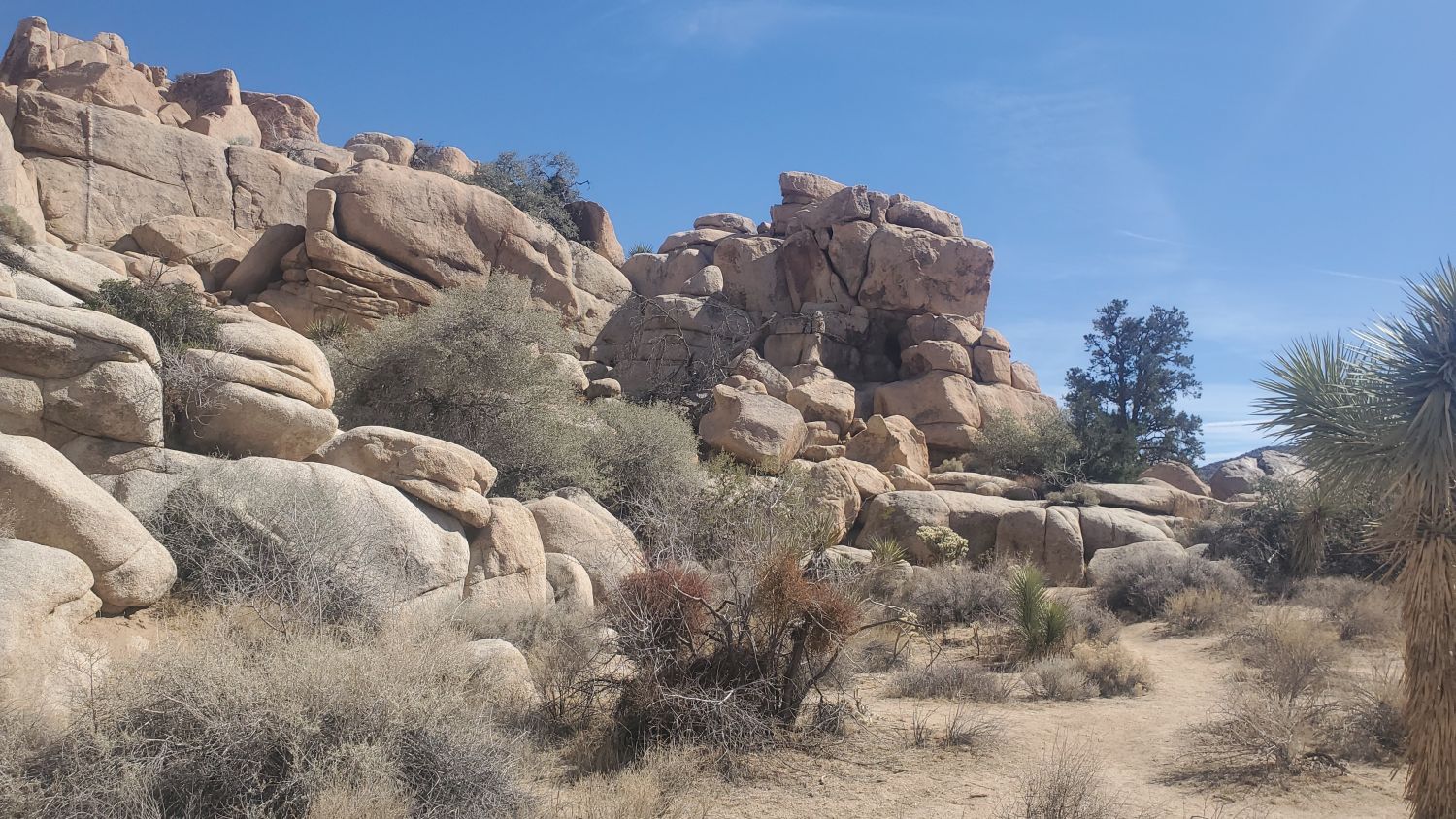 Barker Dam Hike