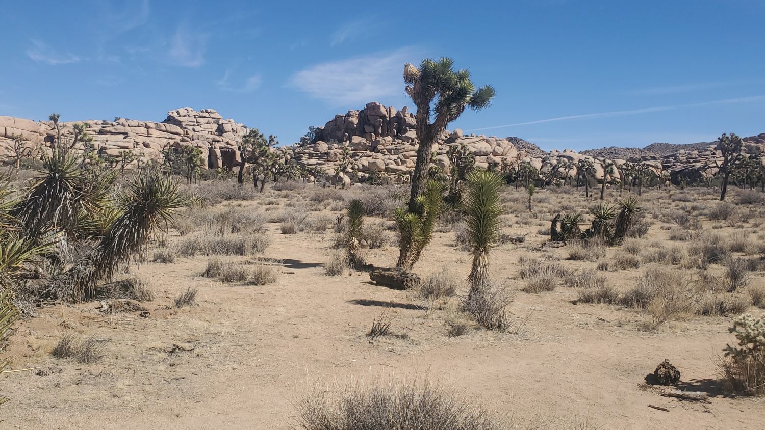 Barker Dam Hike