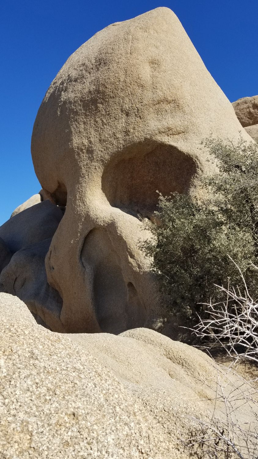 Skull Rock Hike