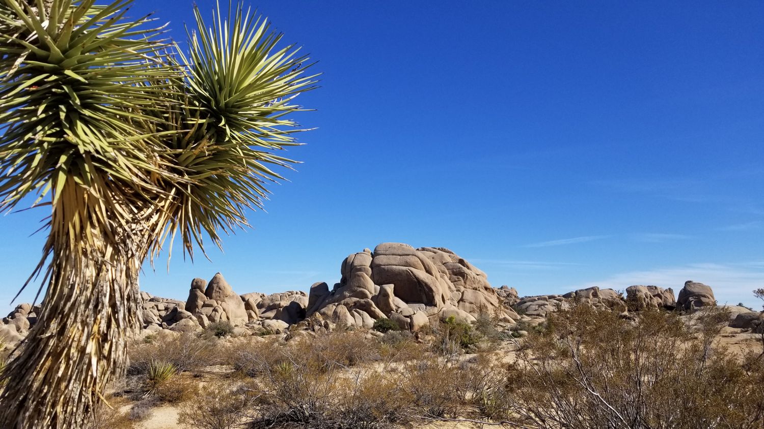 Skull Rock Hike
