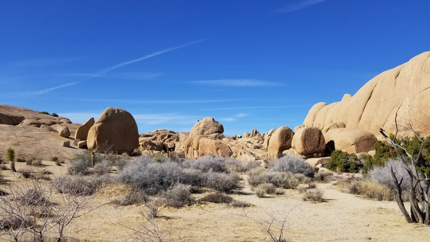 Skull Rock Hike