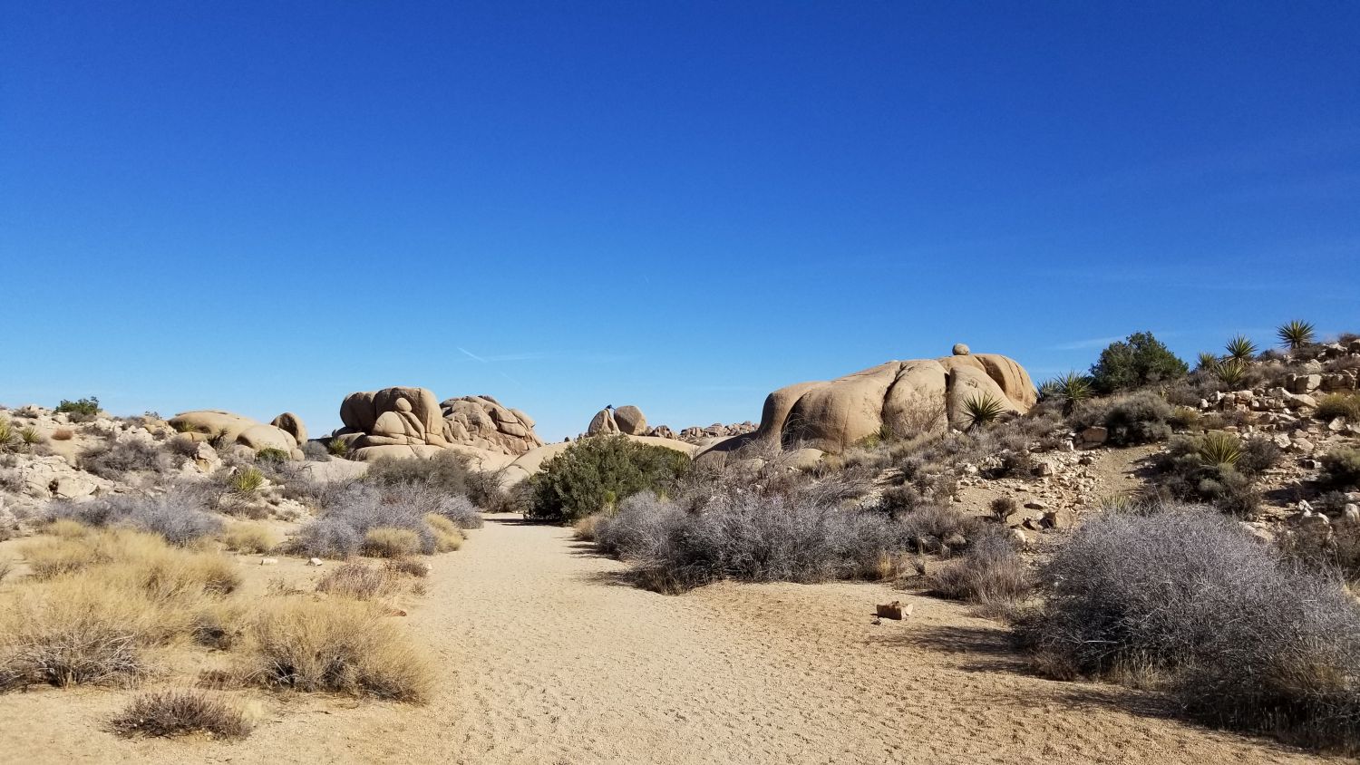 Skull Rock Hike