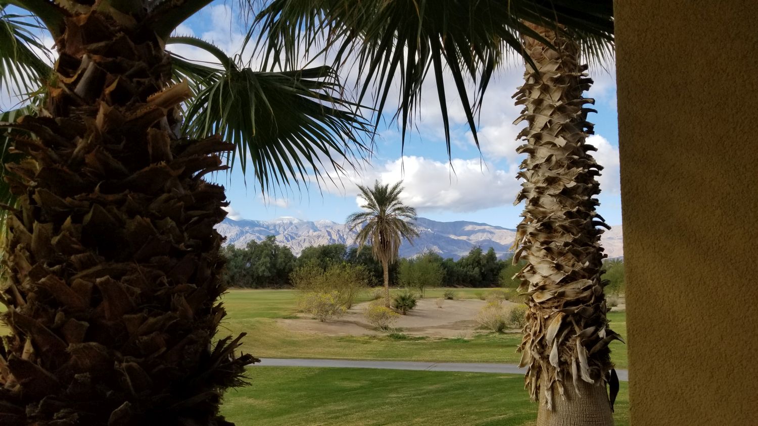 The Ranch View