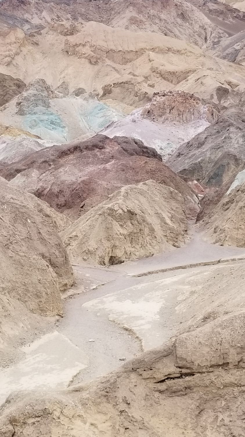 Artist's Palette