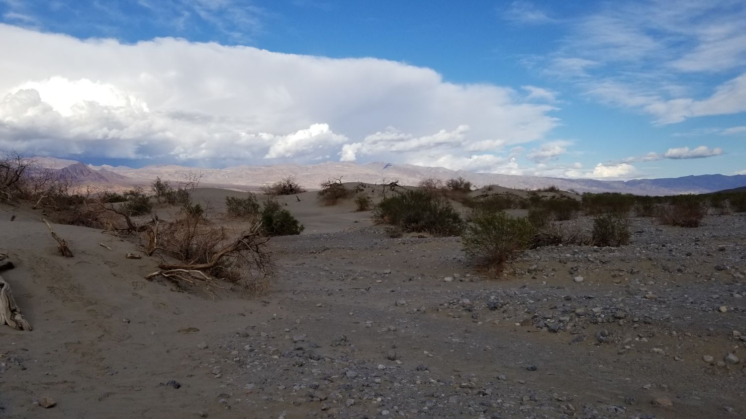 Mesquite Flat Sand Dunes