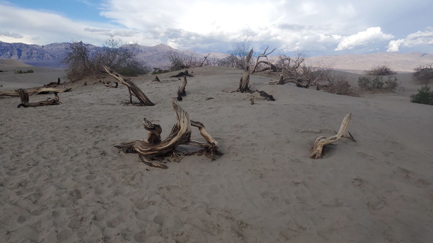 Mesquite Flat Sand Dunes