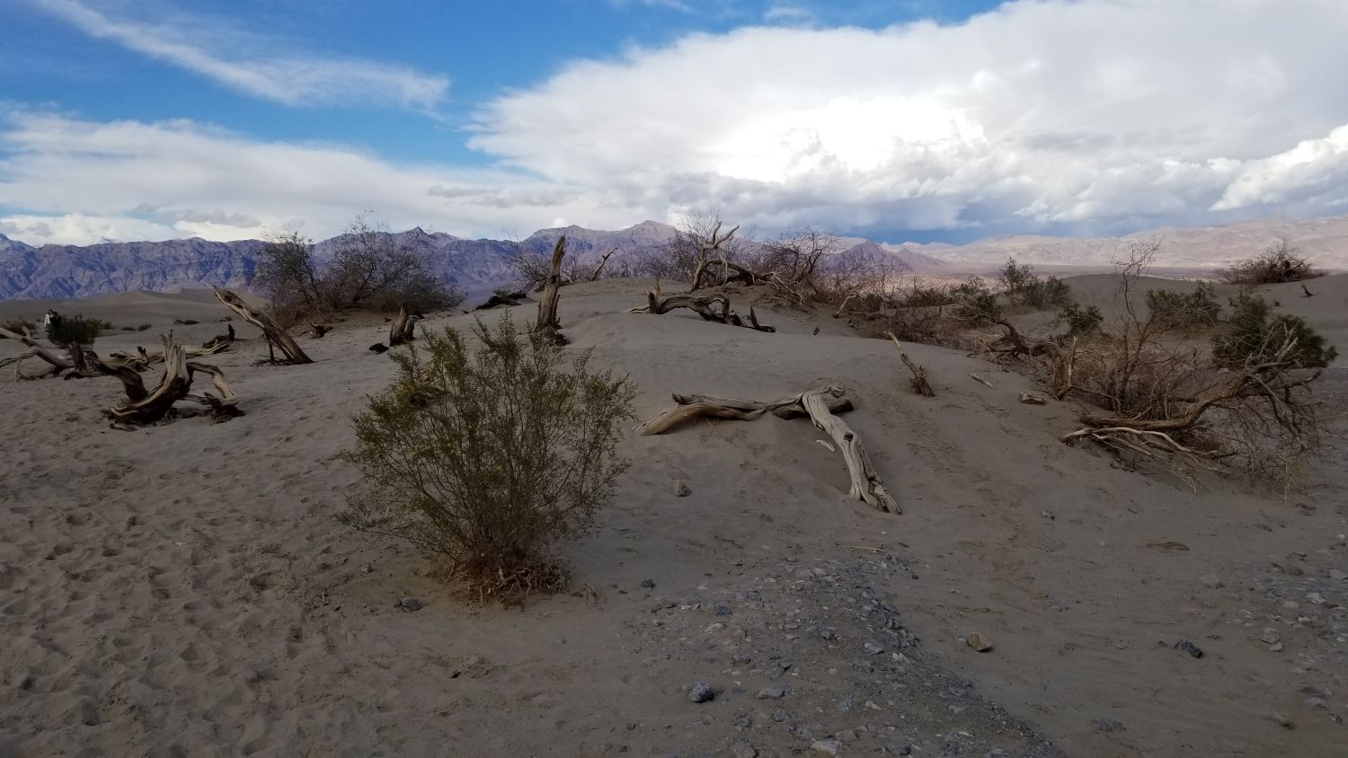 Mesquite Flat Sand Dunes