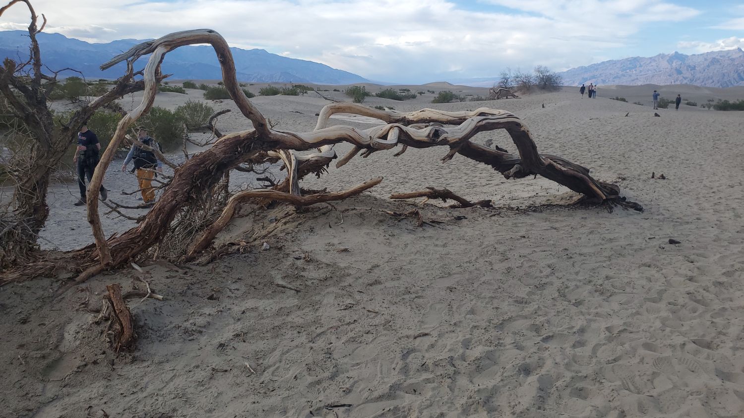Mesquite Flat Sand Dunes